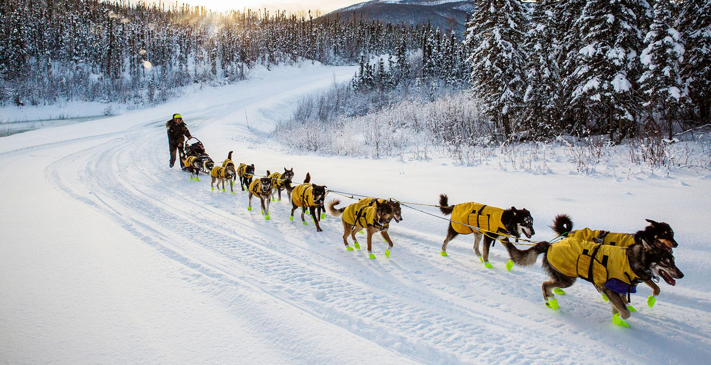 Yukon Quest