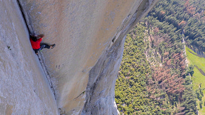 Alex Honnold - Free Solo 360°