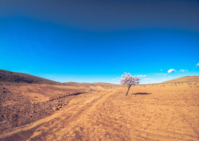 Bikepacking au Maroc