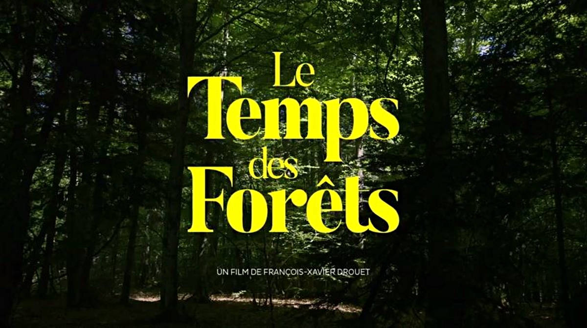 LE TEMPS DES FORETS